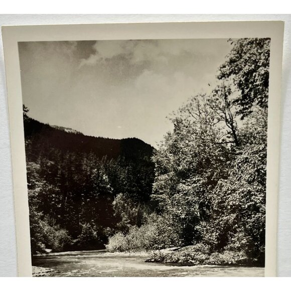 Elwha River RPPC Postcard Vintage Port Angeles WA Olympic National Park - Picture 4 of 6